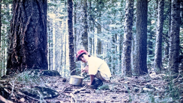 A boy with a red hat looking at the camera and crouching over a pot in the forest